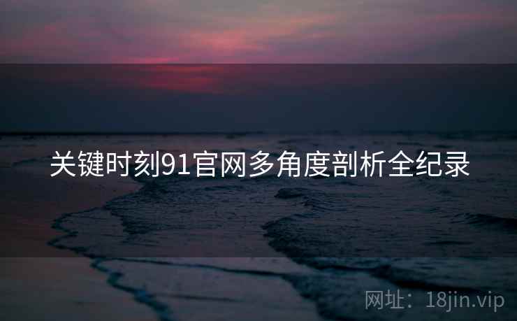 关键时刻91官网多角度剖析全纪录