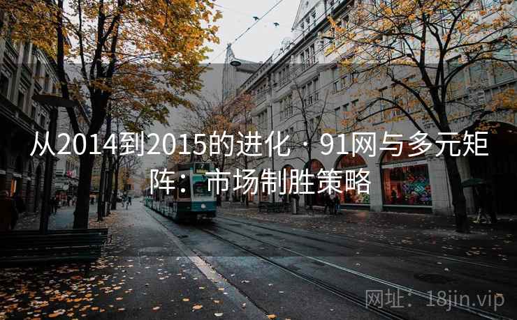 从2014到2015的进化 · 91网与多元矩阵:市场制胜策略 从2014到2015的进化 · 91网与多元矩阵:市场制胜策略