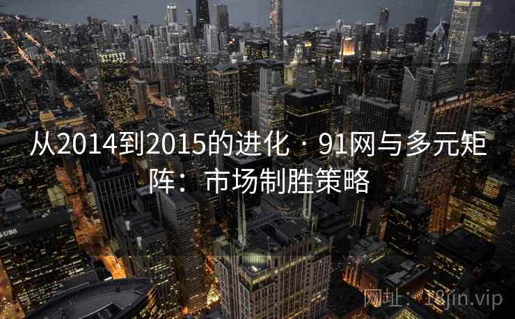 从2014到2015的进化 · 91网与多元矩阵:市场制胜策略 从2014到2015的进化 · 91网与多元矩阵:市场制胜策略