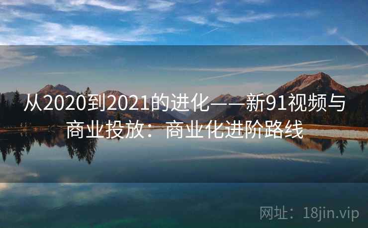 从2020到2021的进化——新91视频与商业投放：商业化进阶路线