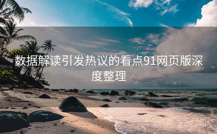 数据解读引发热议的看点91网页版深度整理