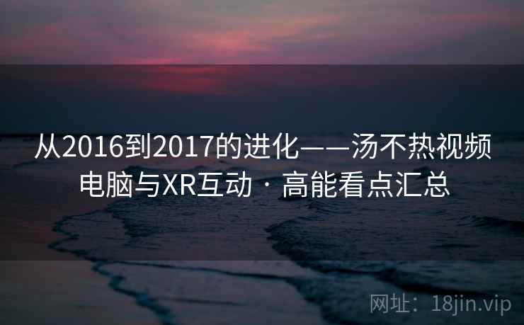 从2016到2017的进化——汤不热视频电脑与XR互动 · 高能看点汇总